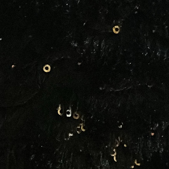 Super comfy Faux Fur Vest w/gold sequin flecks throughout. Lined sleekly - Picture 7 of 14